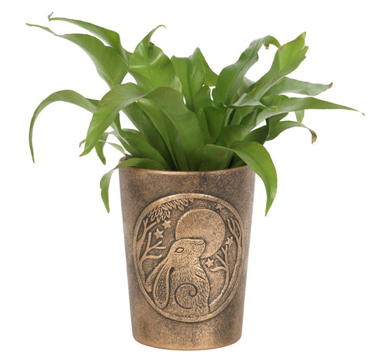 Moongazing Hare Terracotta Plant Pot