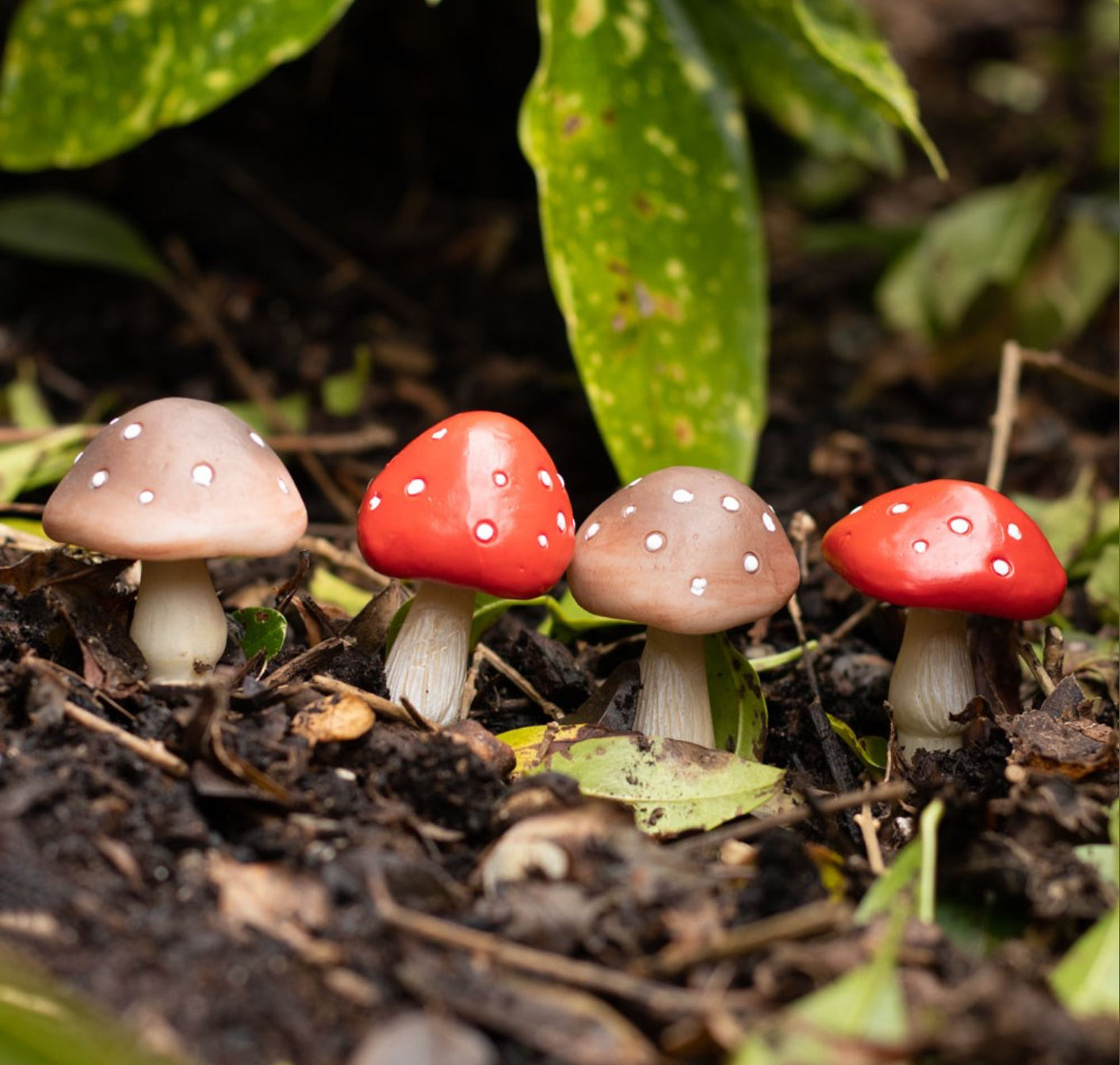 Set of 4 Mini Plant Pot Pals Mushrooms