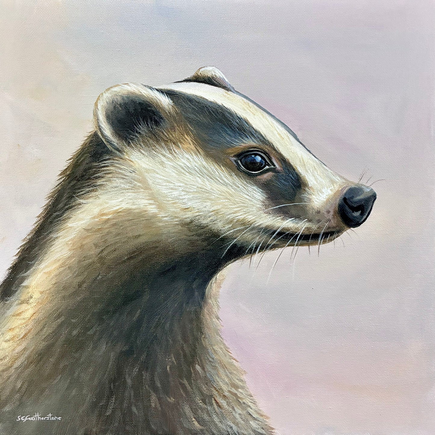 Badger - Framed Canvas Painting
