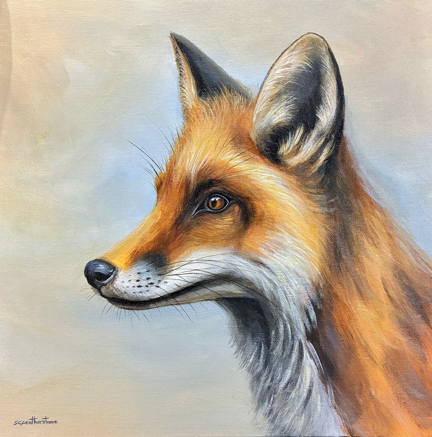 Fox - Framed Canvas Painting
