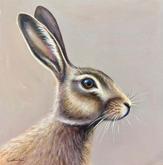 Hare - Framed Canvas Painting