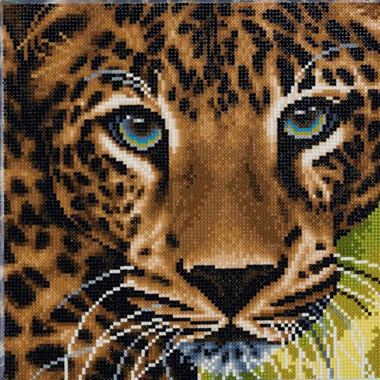 Leopard 30X30CM CRYSTAL ART KIT