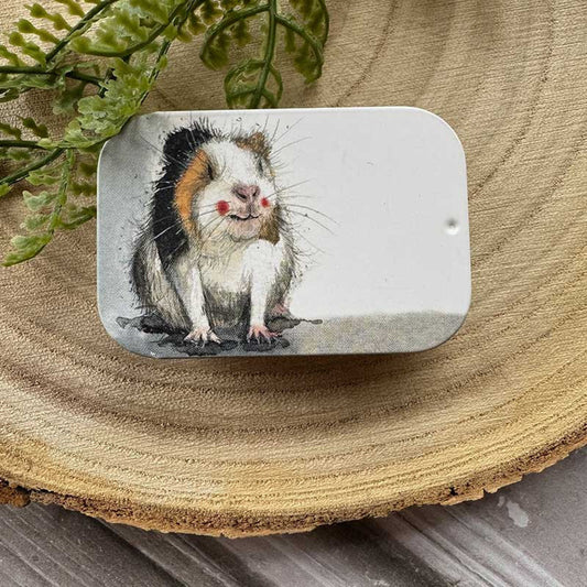 Guinea Pig Sliding Tin