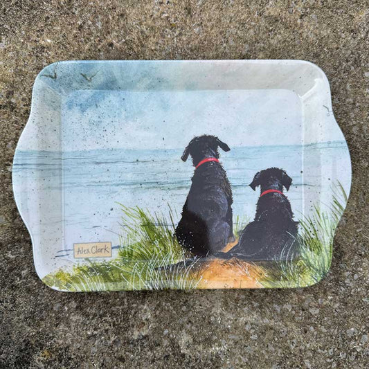 Small Tray Dogs in Sand Dunes