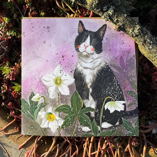 Black and White Cat Blank Card