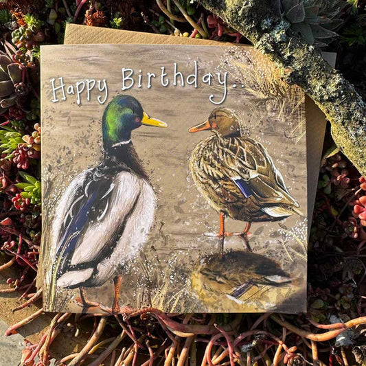 Mallards Birthday Card