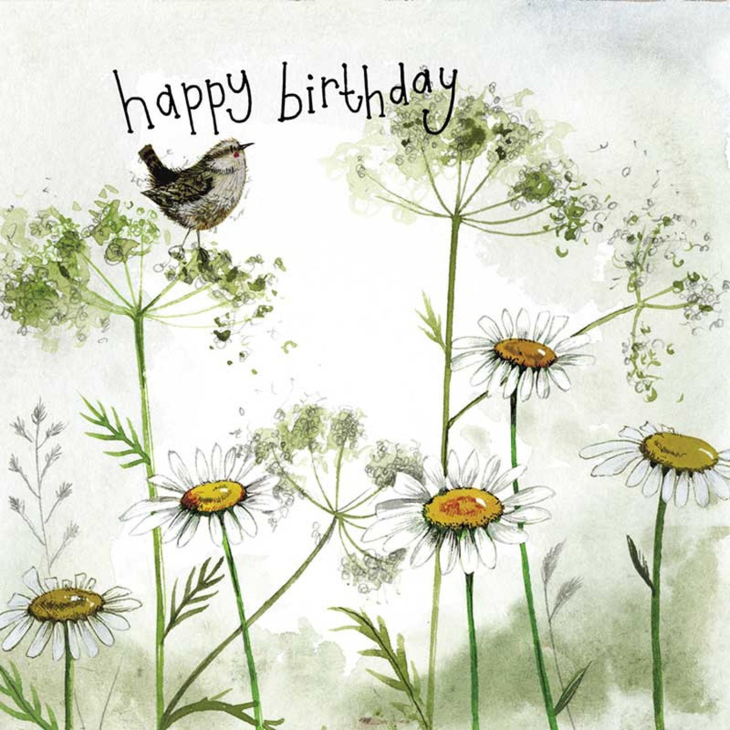 Wren Happy Birthday Card