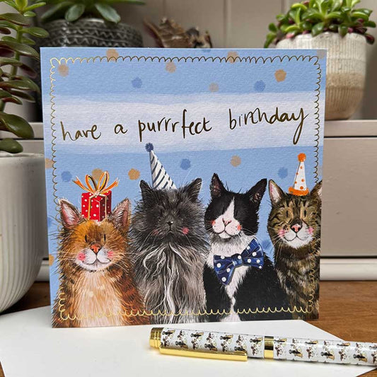 Party Hat Cats Birthday Card