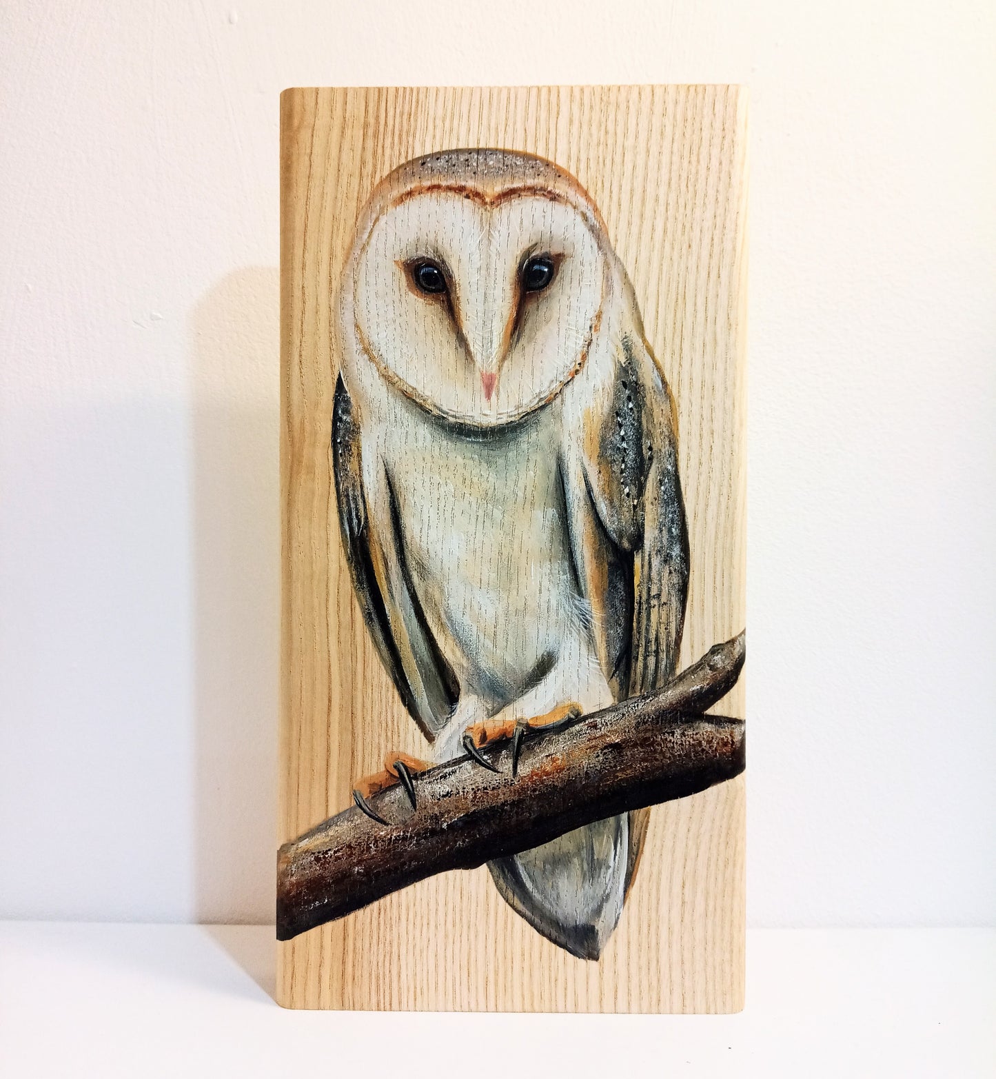 Barn Owl on Wood