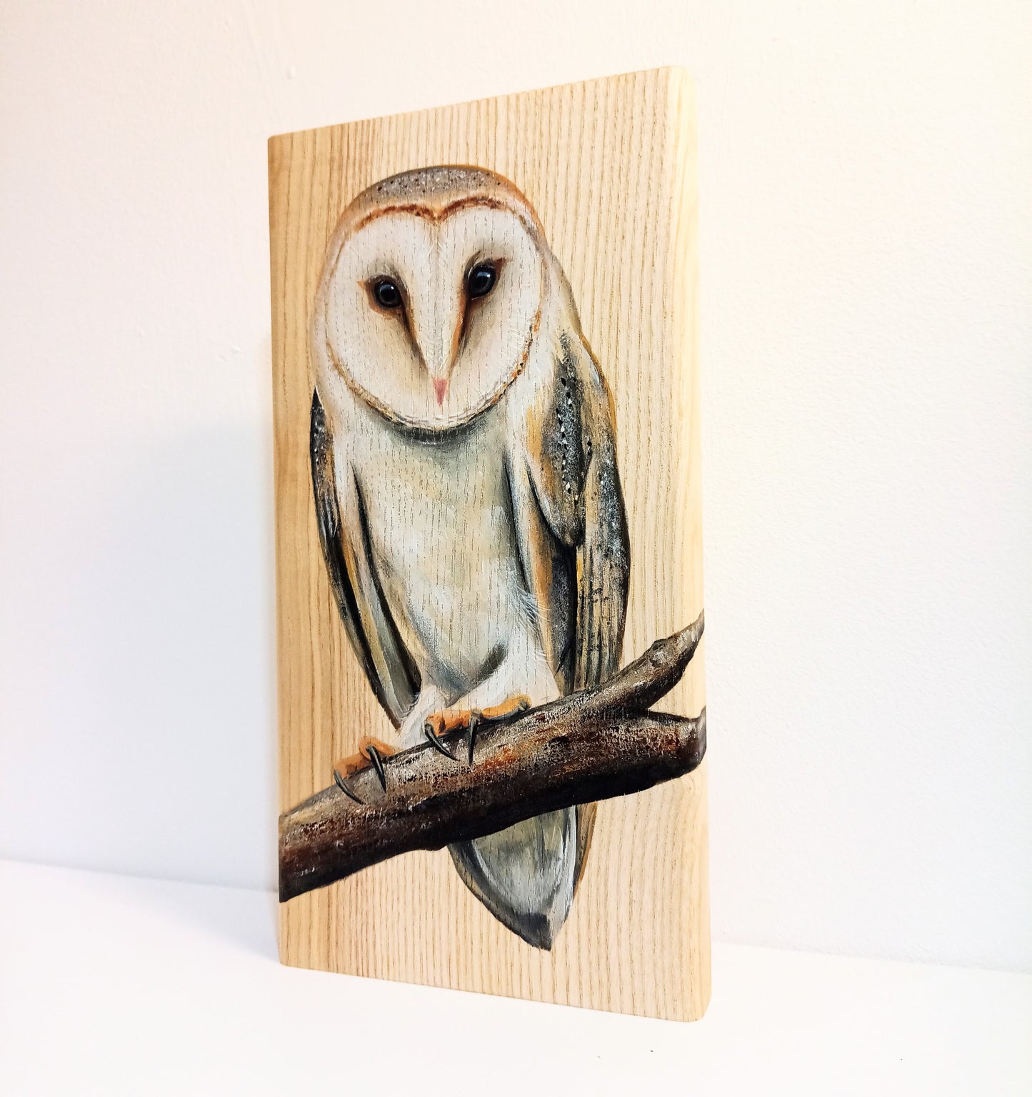 Barn Owl on Wood