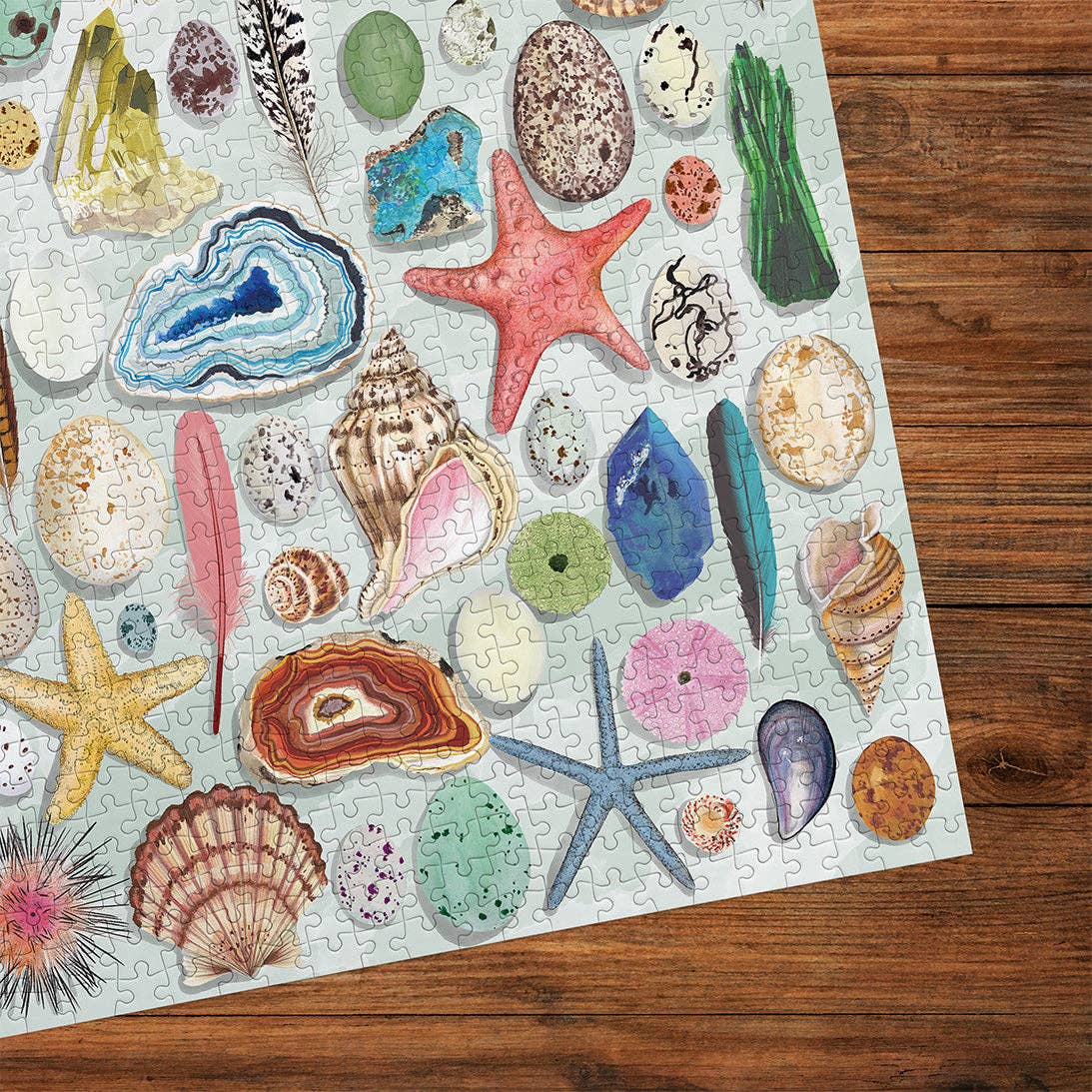 The Art File: Natural Curiosities 1000 Piece Jigsaw Puzzle