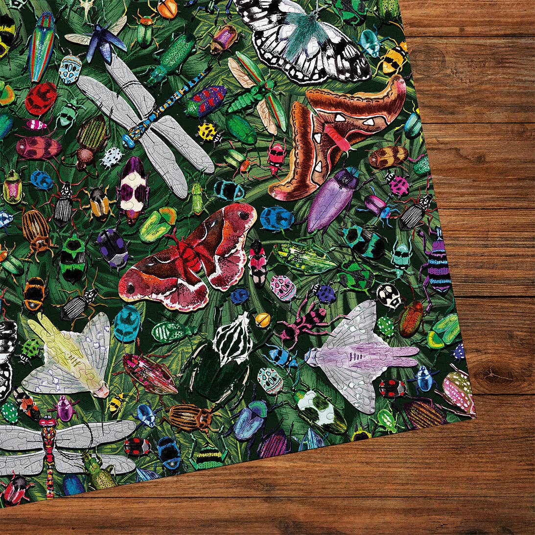 The Art File: Winged Wonders 1000 Piece Jigsaw Puzzle