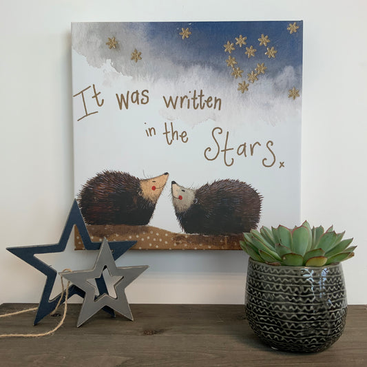 Stargazers Hedgehogs Medium Canvas