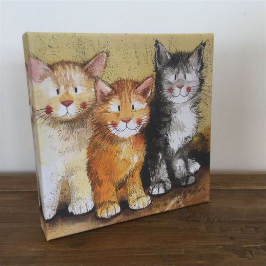 3 Cats Small Canvas