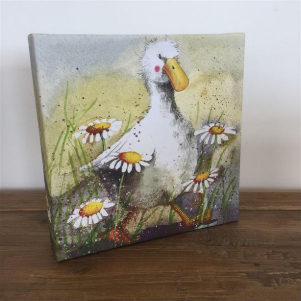 Duck In Daisies Small Canvas