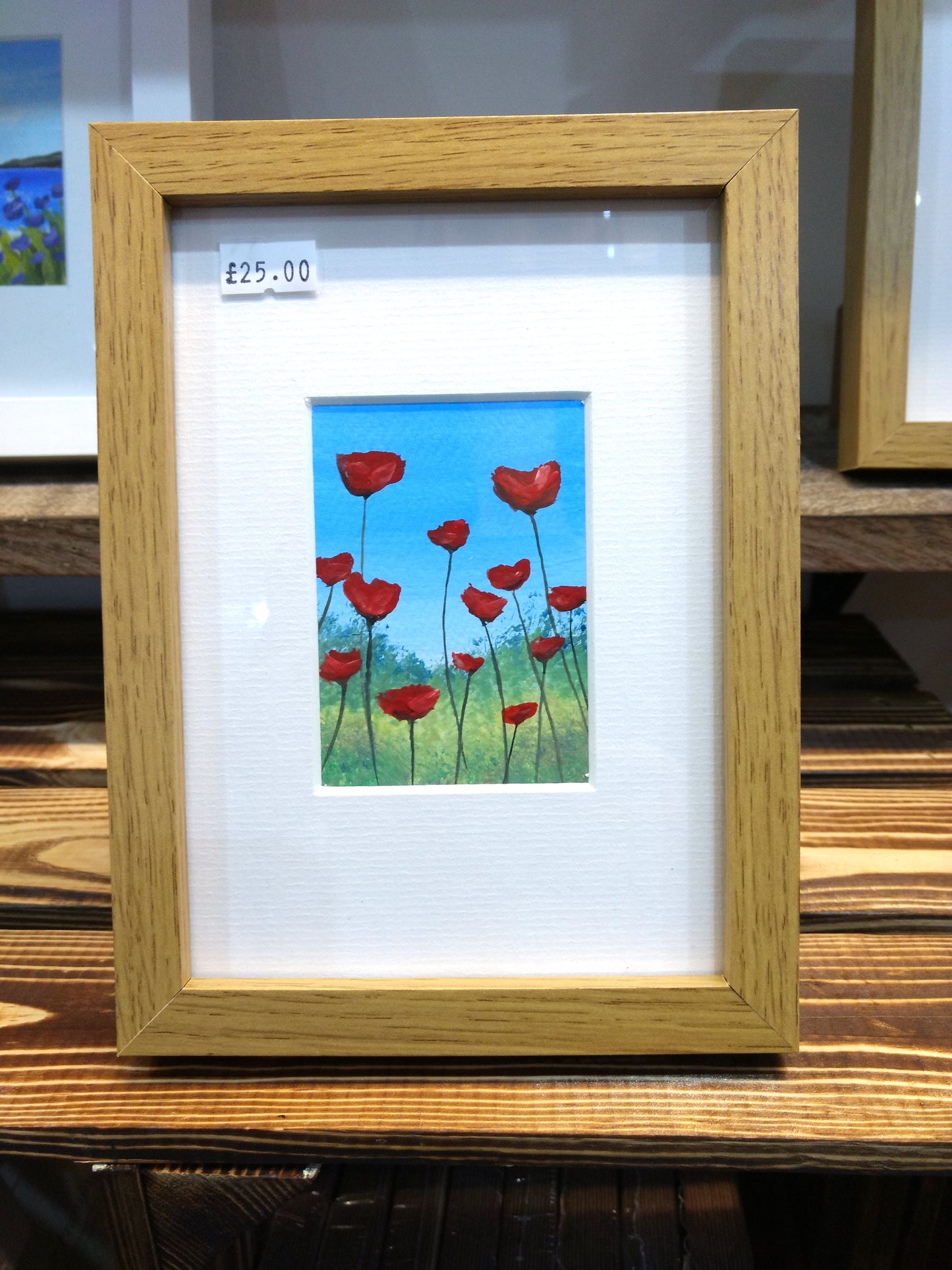 Poppies In Frame