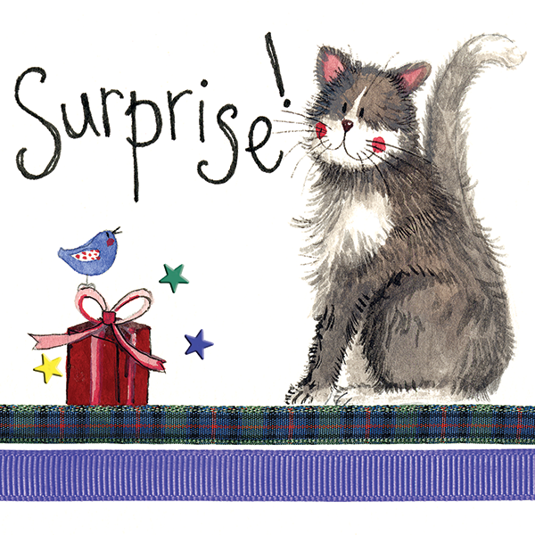 Cat Birthday Surprise Greeting Card