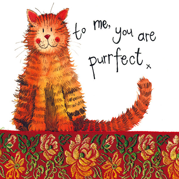 Purfect Cat Greeting Card