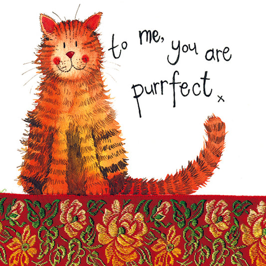 Purfect Cat Greeting Card