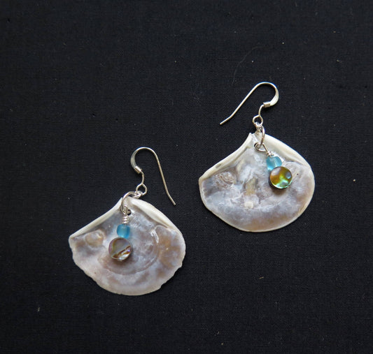 shell earrings....