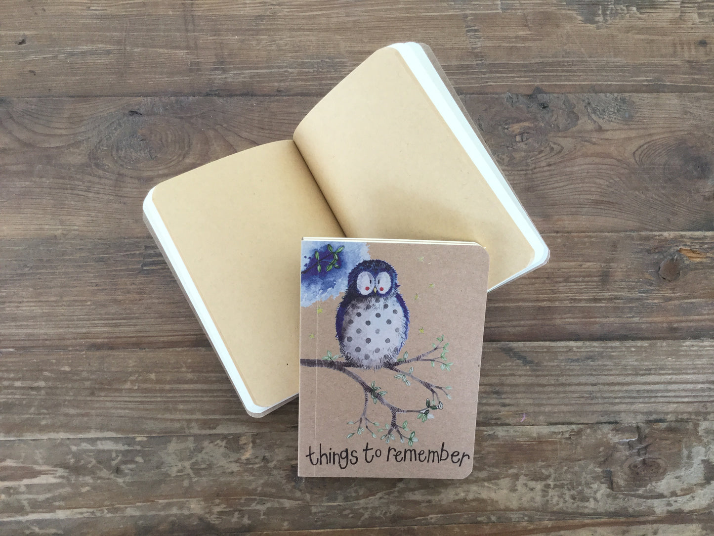 Owl Small Kraft Notebook