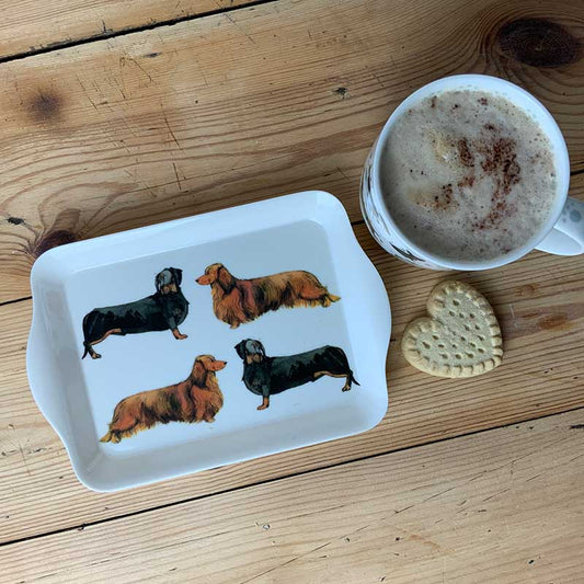 Small Dog Tray