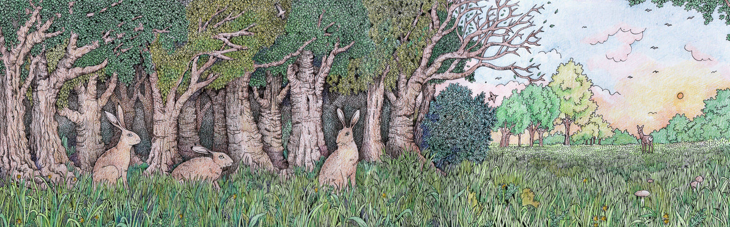 The Woodland Edge Concertina Greetings Card