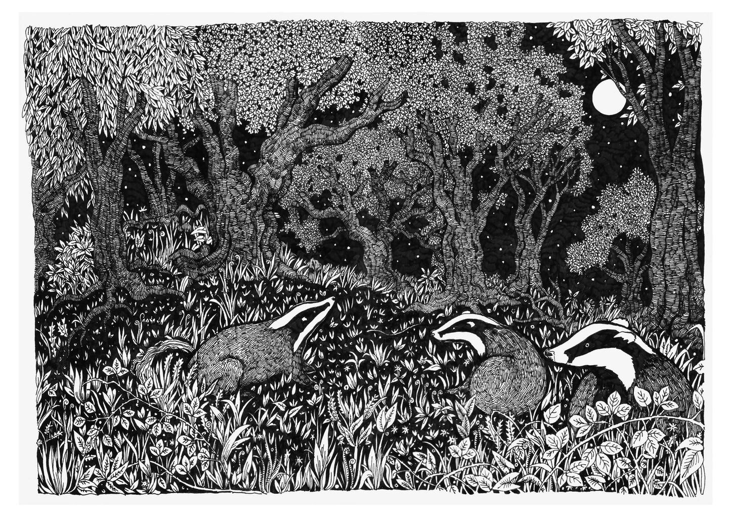 Badger Family A4 Print