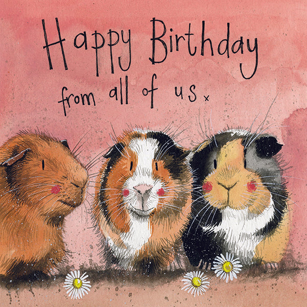 Three Guinea Pigs Birthday Card
