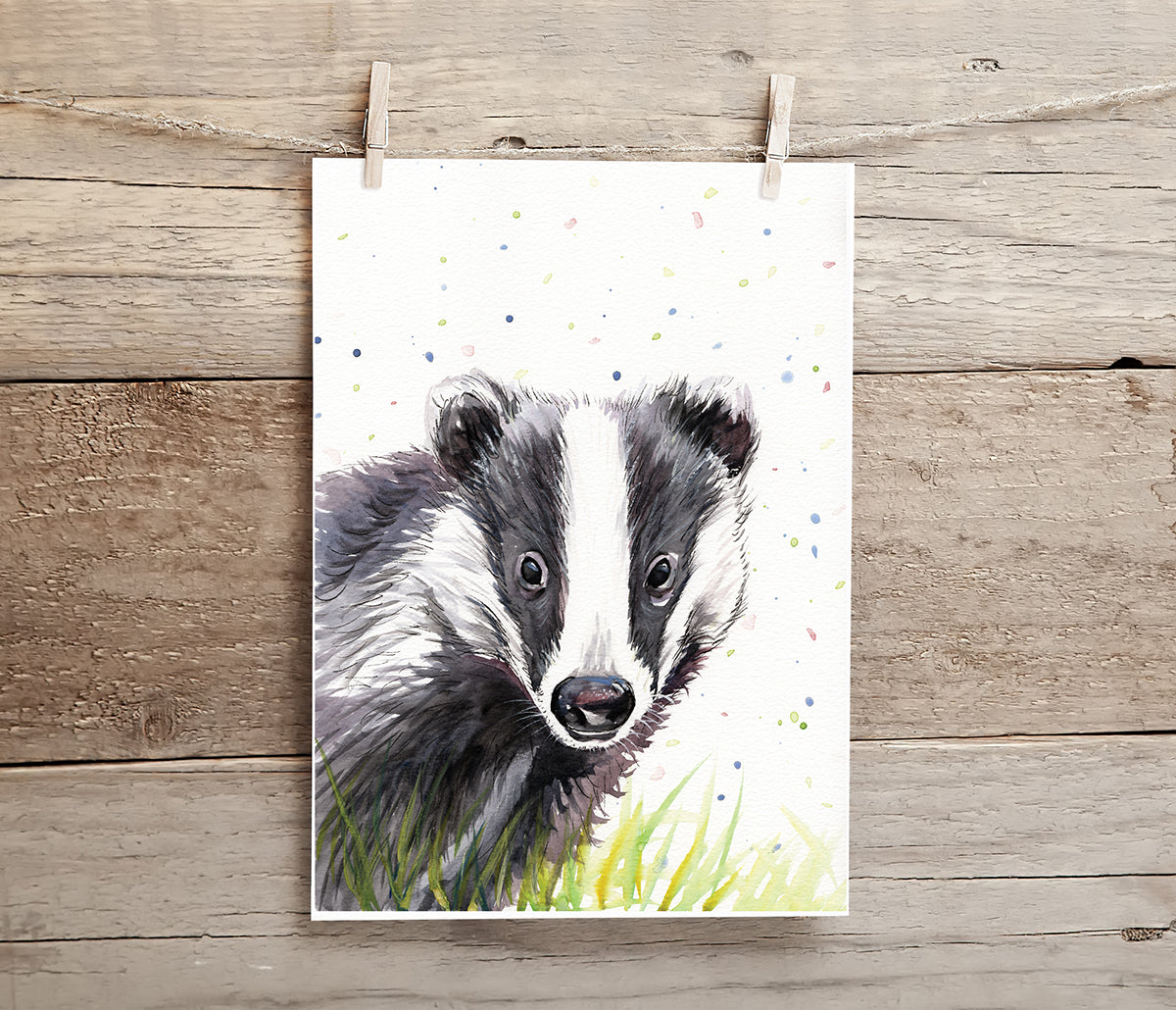 Badger - A4 Print