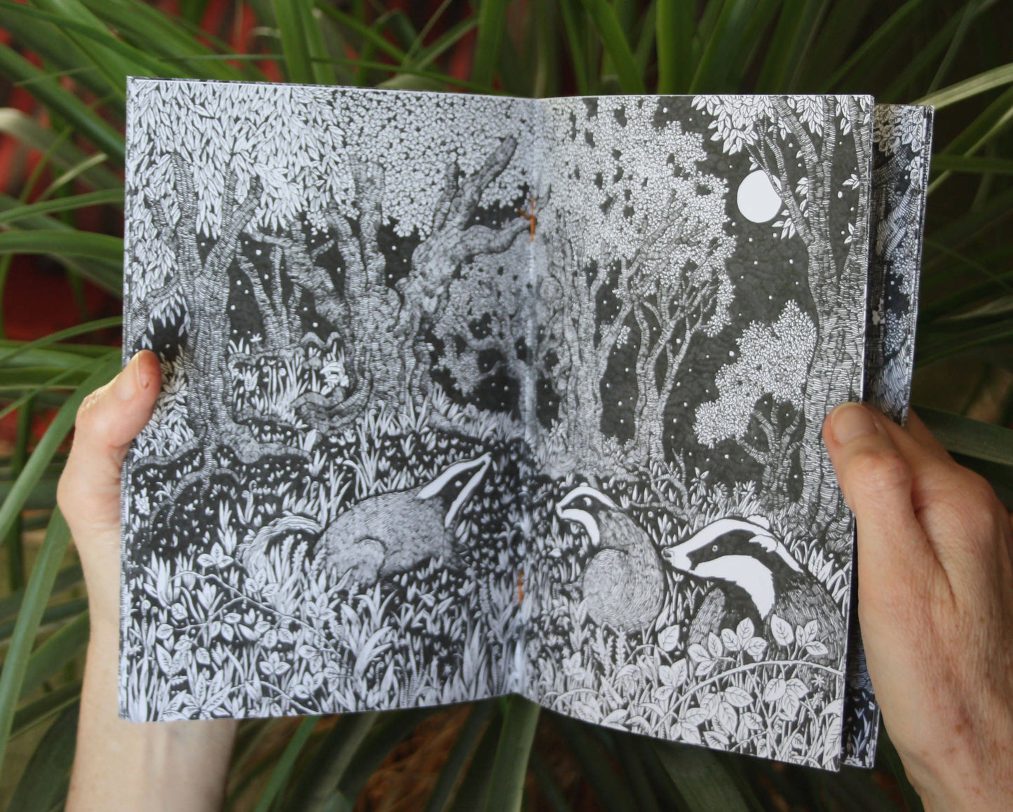 Night Wood - Nature Zine/Booklet