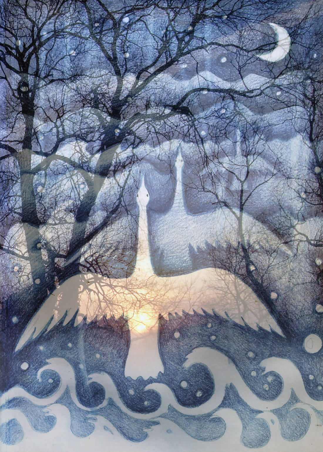 Echoing Swans Greetings Card