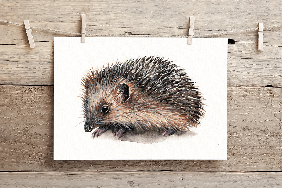 Hedgehog II - A5 Print