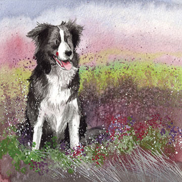 Collie and Heather Blank Card