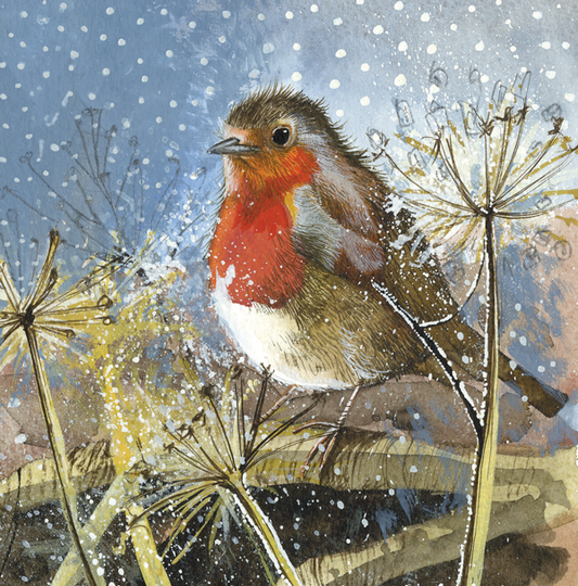 Robin Christmas Card Pack