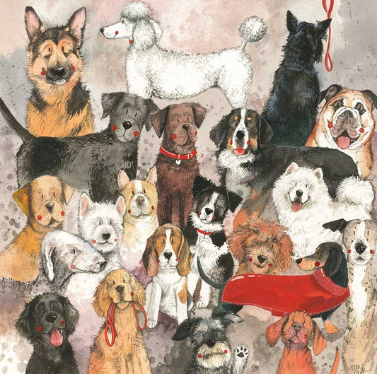 Best of Breed Card
