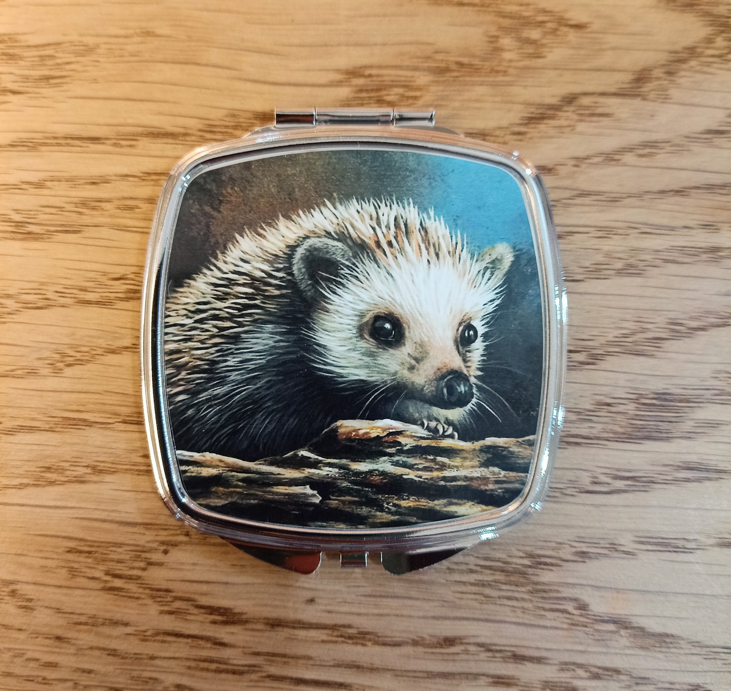 Hedgehog Compact Mirror