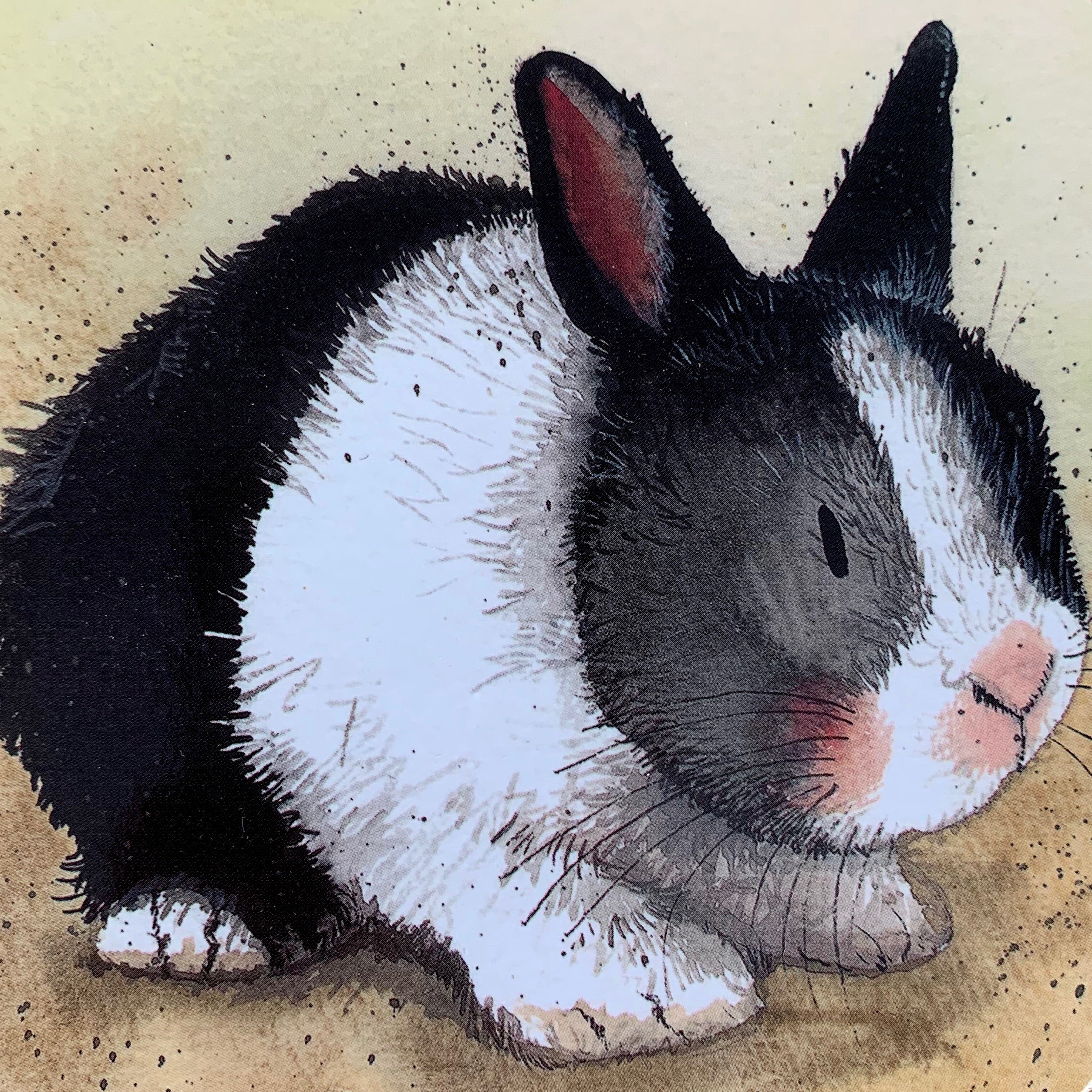Ronnie Rabbit Coaster – Wild Art Gallery