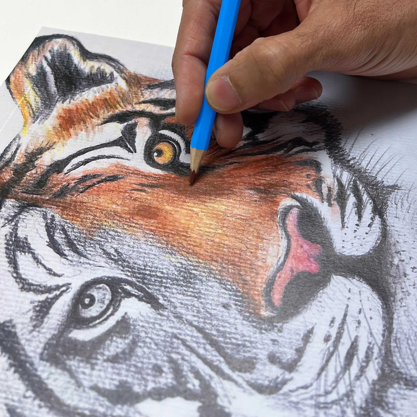 24 Artists Watercolour Pencils – Gift Tin Set – by Zieler