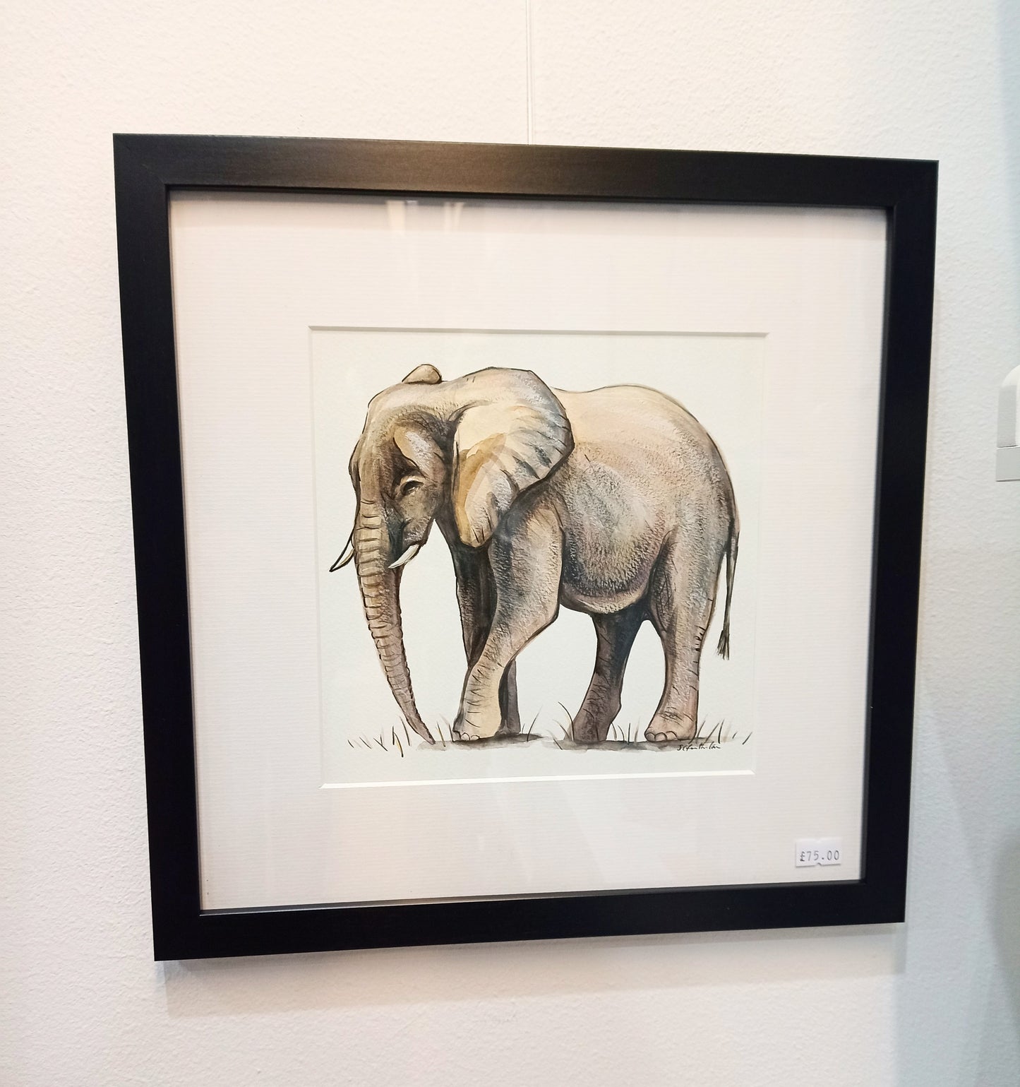 Elephant Watercolour Painting Framed