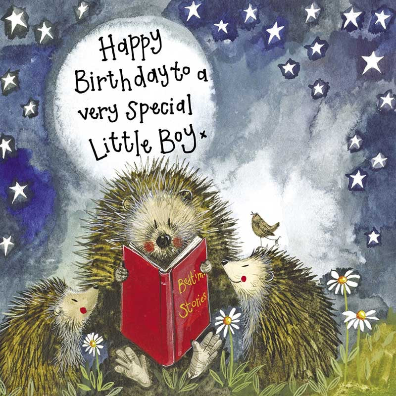Birthday Boy Hedgehog Greeting Card