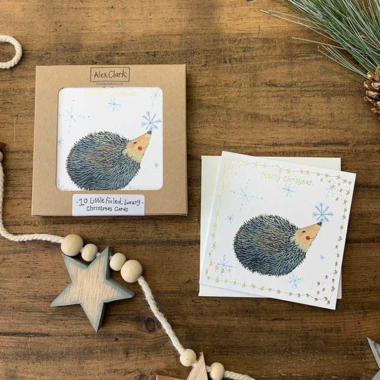 Hedgehog Little Boxed Foiled Cards
