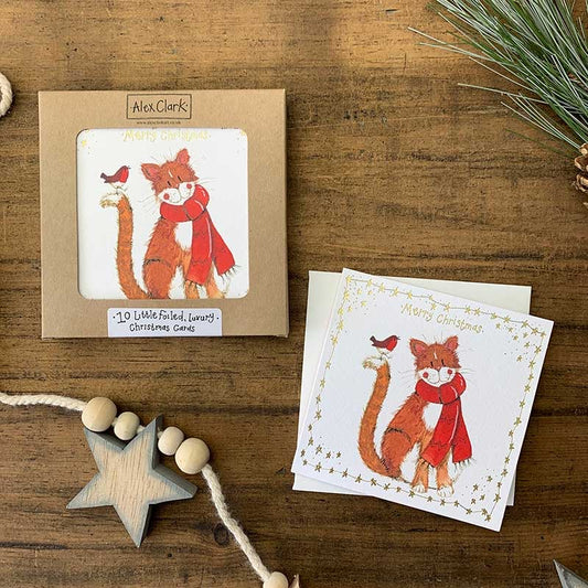Cat and Robin Little Boxed Foiled Cards
