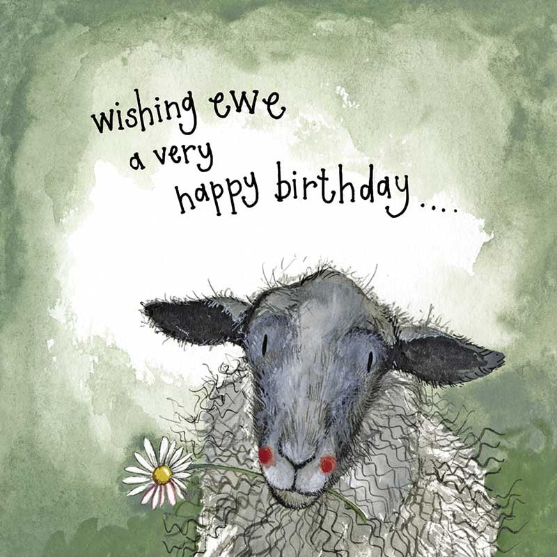 Birthday Sheep Greeting Card