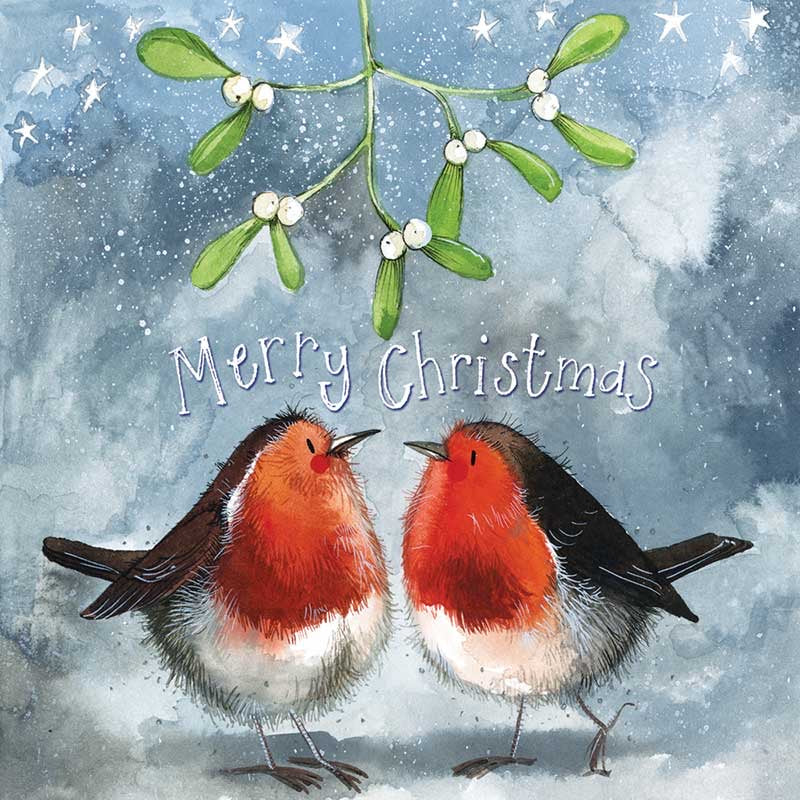 Robins Christmas Card