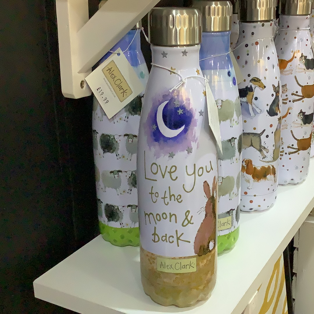 Moon and Back Water Bottle