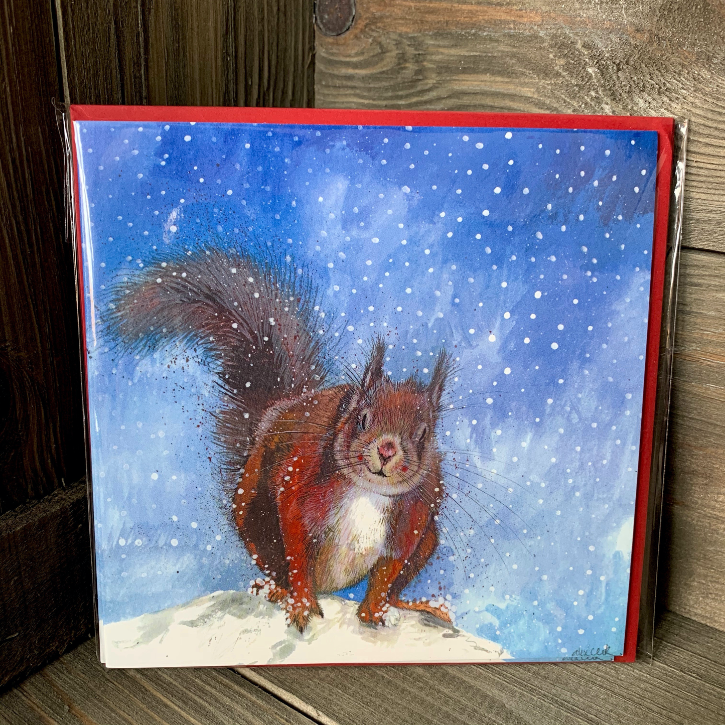 Snow and Red Squirrel Card Pack