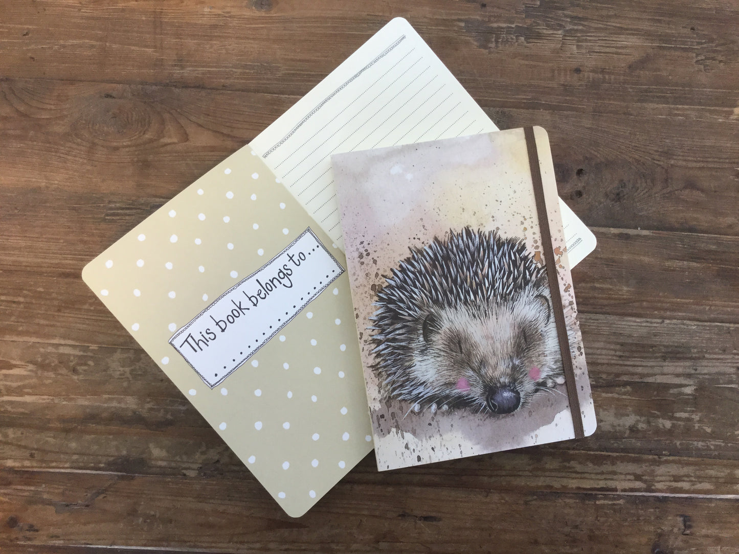 Harriet The Hedgehog Large Chunky Notebook