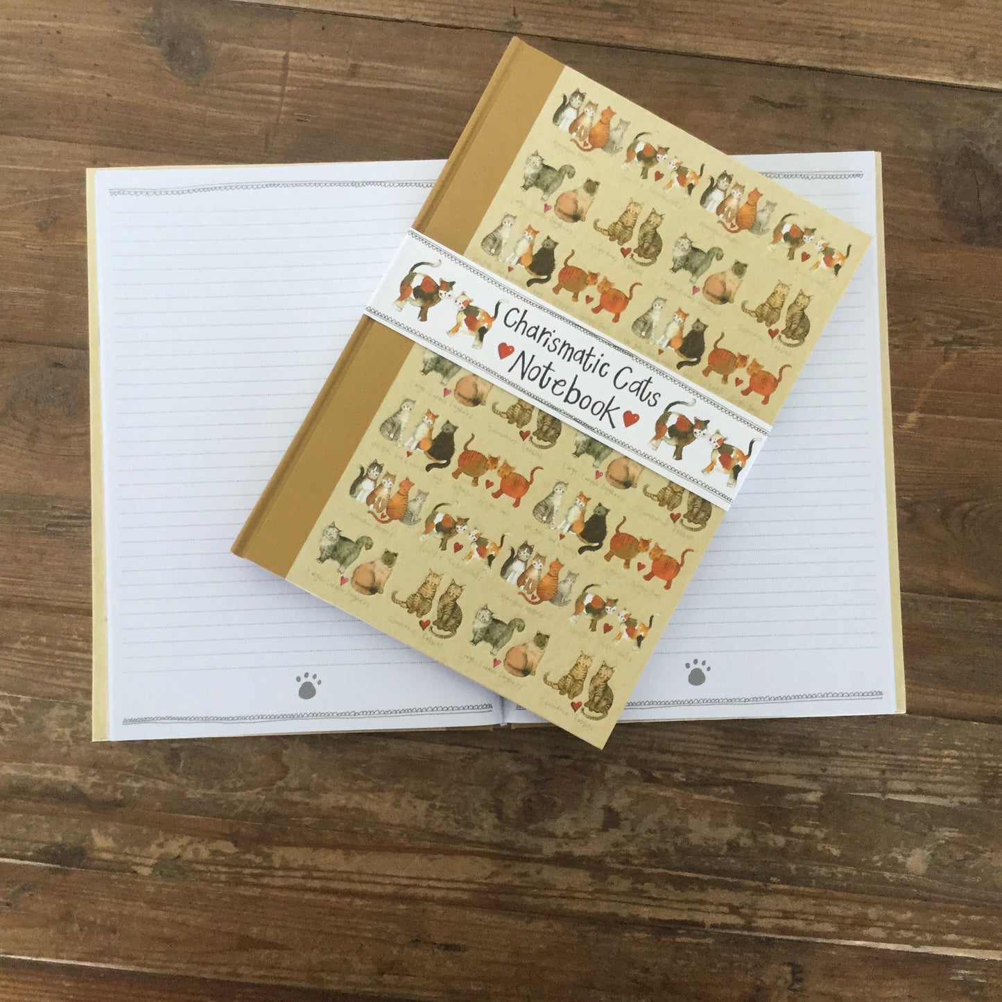 Charismatic Cats Large Hardback Journal