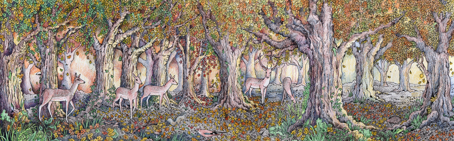 The Woodland Edge Concertina Greetings Card